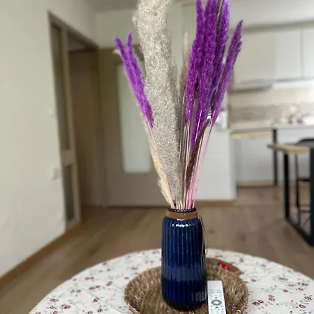 L Esprit Stanislas, Elegant Au Centre De A 3 Min De La Gare Sncf * Nancy