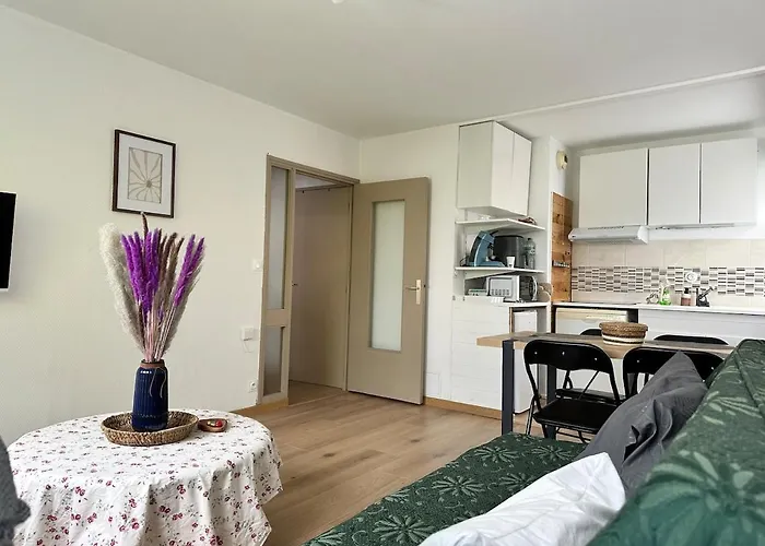 Charme- Calme-nancy Centre, 1 Salon, 1 Chambre, Salle De Bain * Nancy