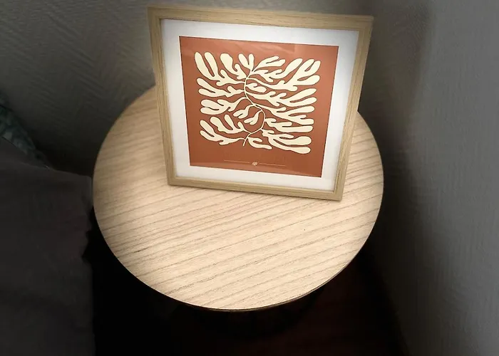 Charme- Calme-nancy Centre, 1 Salon, 1 Chambre, Salle De Bain